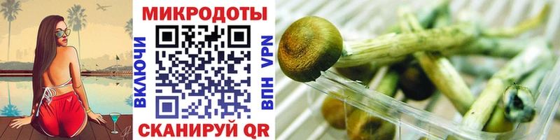 Псилоцибиновые грибы GOLDEN TEACHER  Мегион 